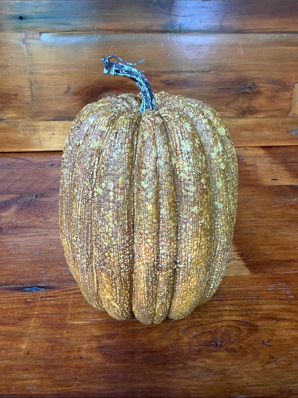 🍂 Textured Rustic Pumpkin Decoration